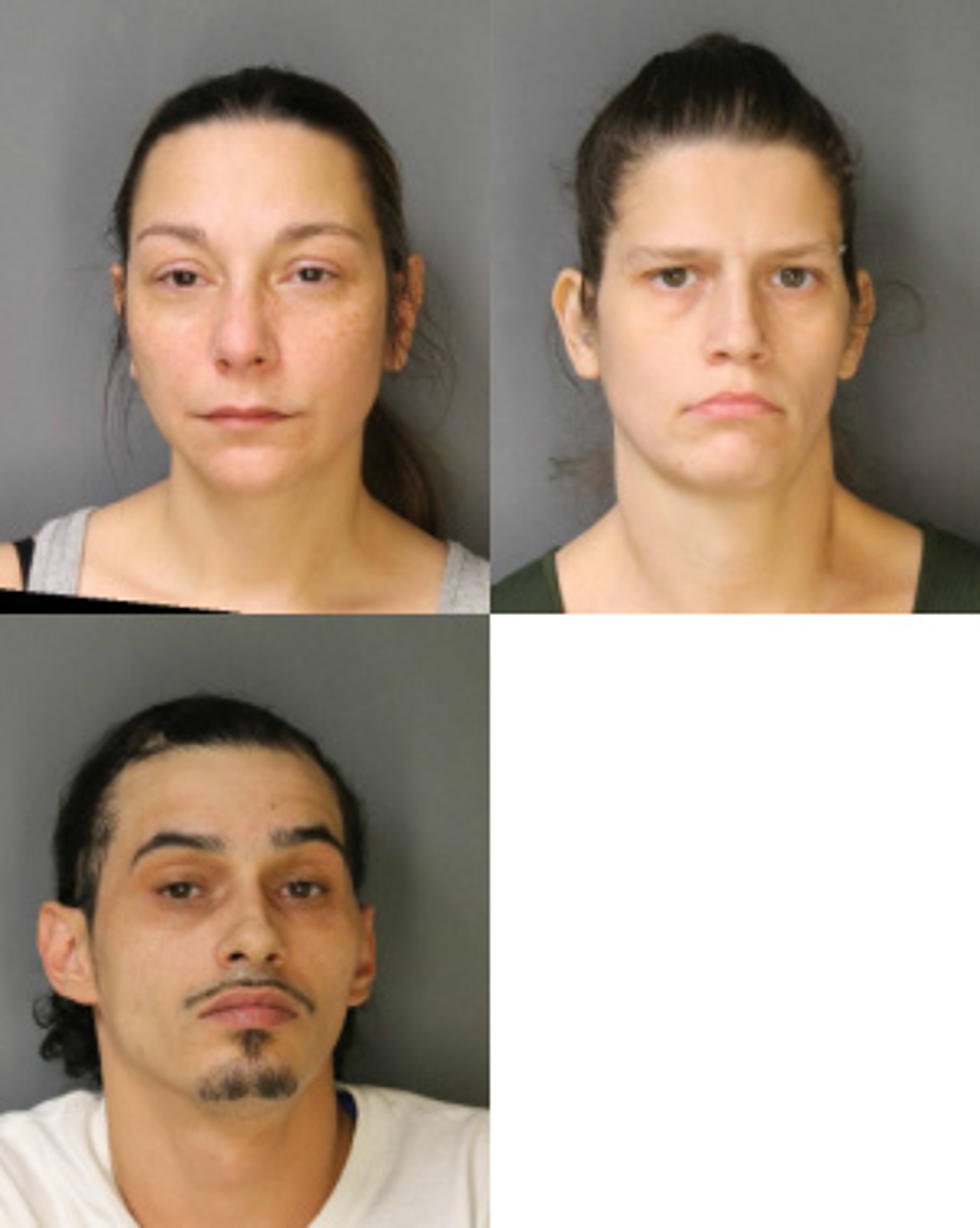 Prostitution Bust In the Hudson Valley Leads to 3 Arrests