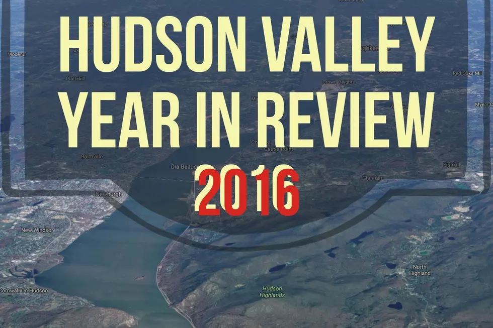 Year in Review: A Turbulent 2016 for the Hudson Valley and the Nation