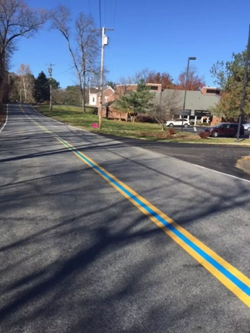 Have You Seen This Blue Line In the Hudson Valley?