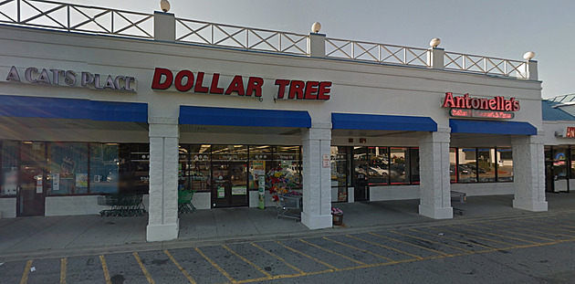 Dutchess County Dollar Tree Robbed
