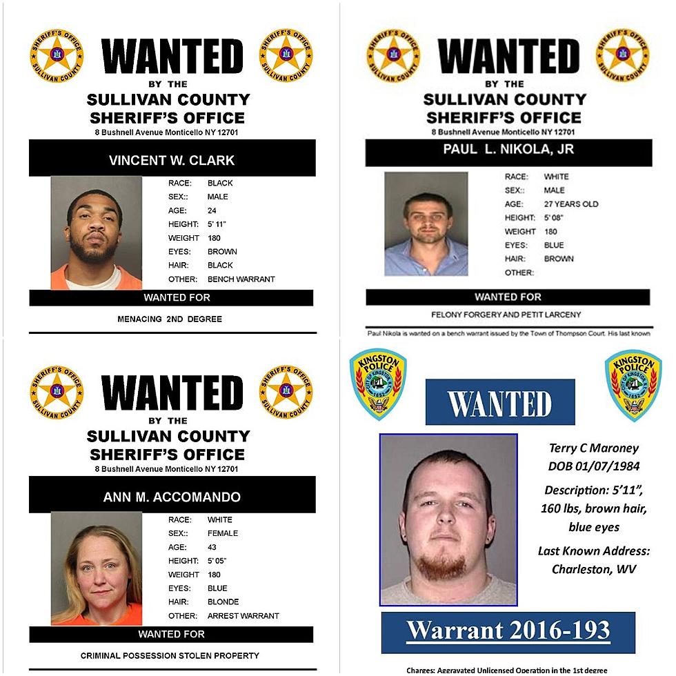 4 More People Wanted In The Hudson Valley