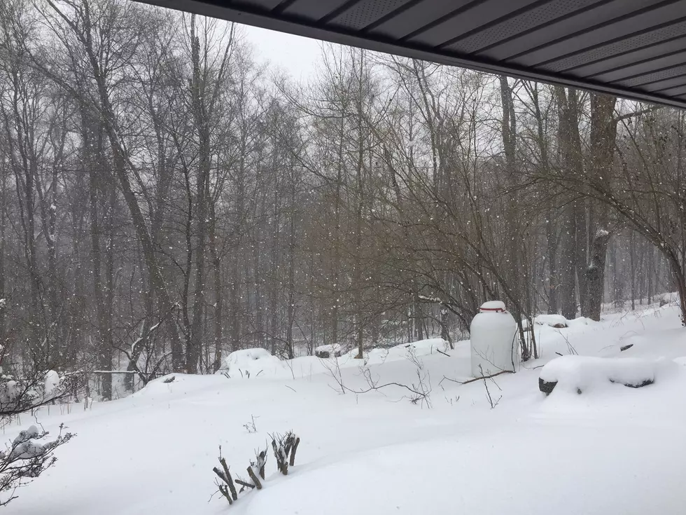 Hudson Valley Snowfall Totals for February Storm