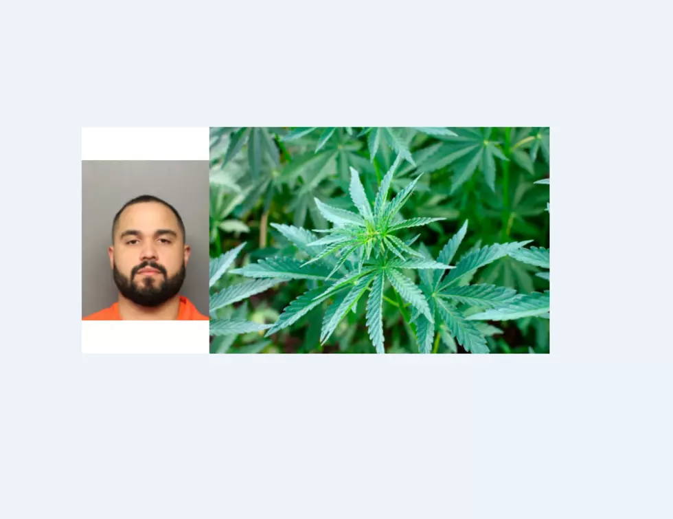Police: Hudson Valley Man Found With Nearly $1 Million Worth of Weed
