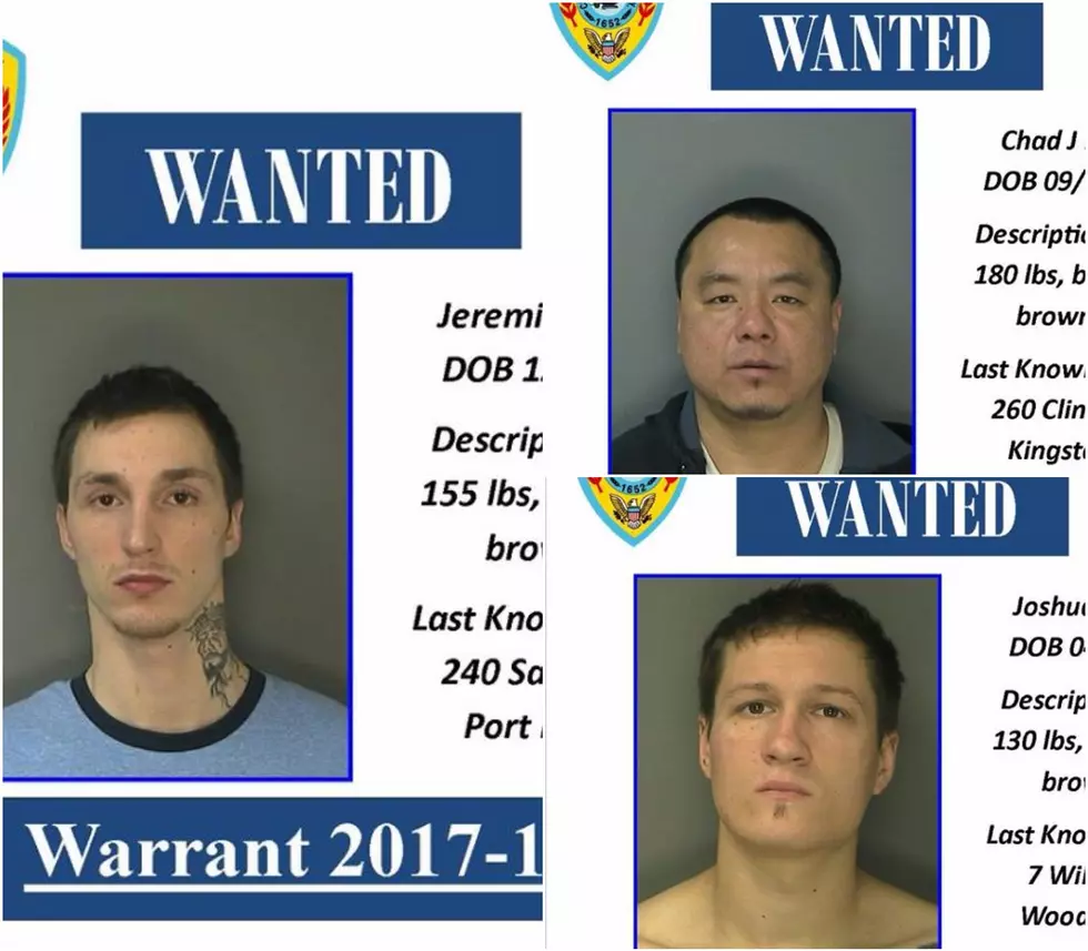 Have You Seen These Wanted Men From The Hudson Valley?