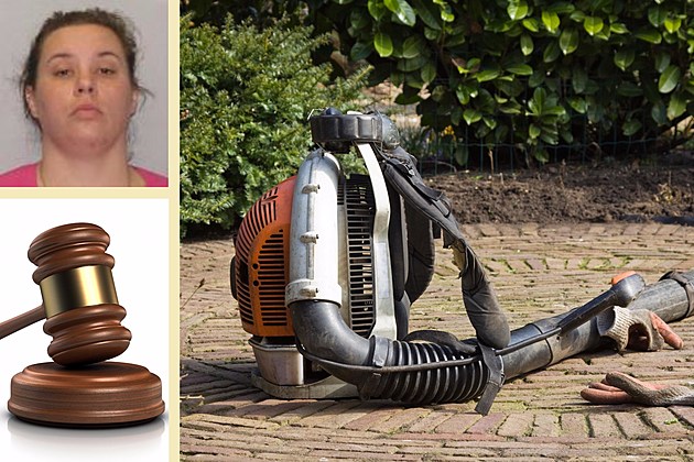 Hyde Park Woman Burglarized a Home for a Leaf Blower, Police Say
