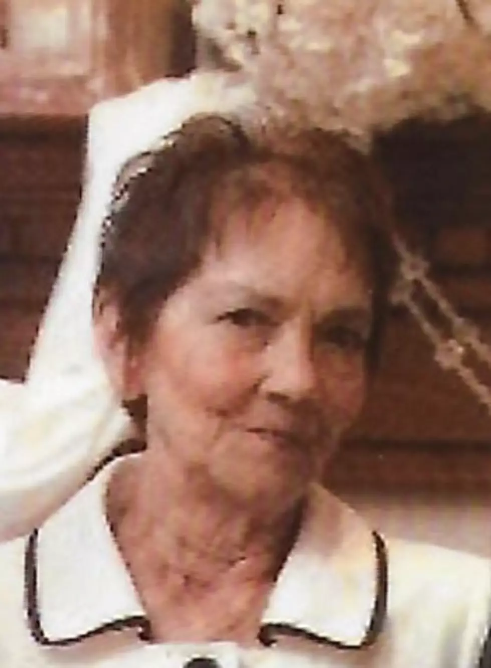 Nancy A. Niznik, a Wappingers Falls Resident, Dies at 71