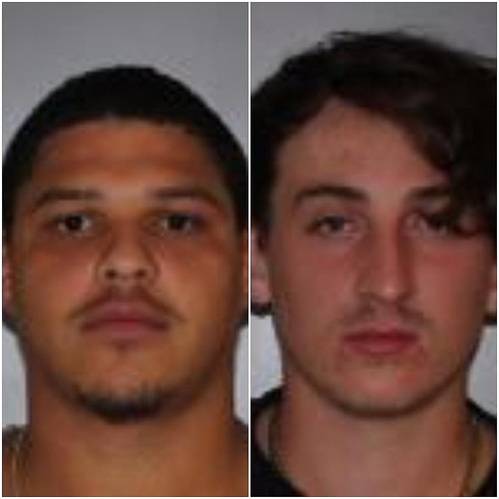 2 Accused Of Robbery At Ulster County Swimming Hole