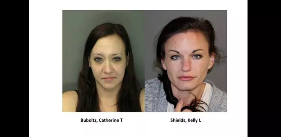 2 Wanted Hudson Valley Women Arrested