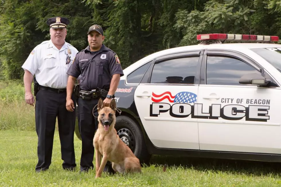 Police: Hudson Valley Police K9 Leads Officers to Man Who Broke into Sleeping Woman’s Bedroom