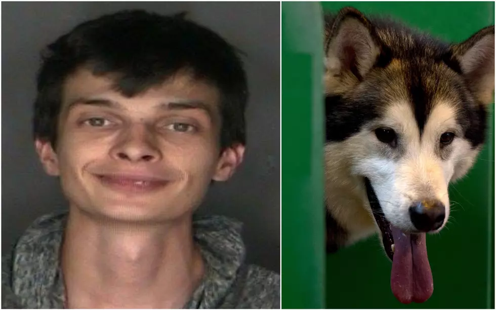 Hudson Valley Man Arrested For Stealing Dog