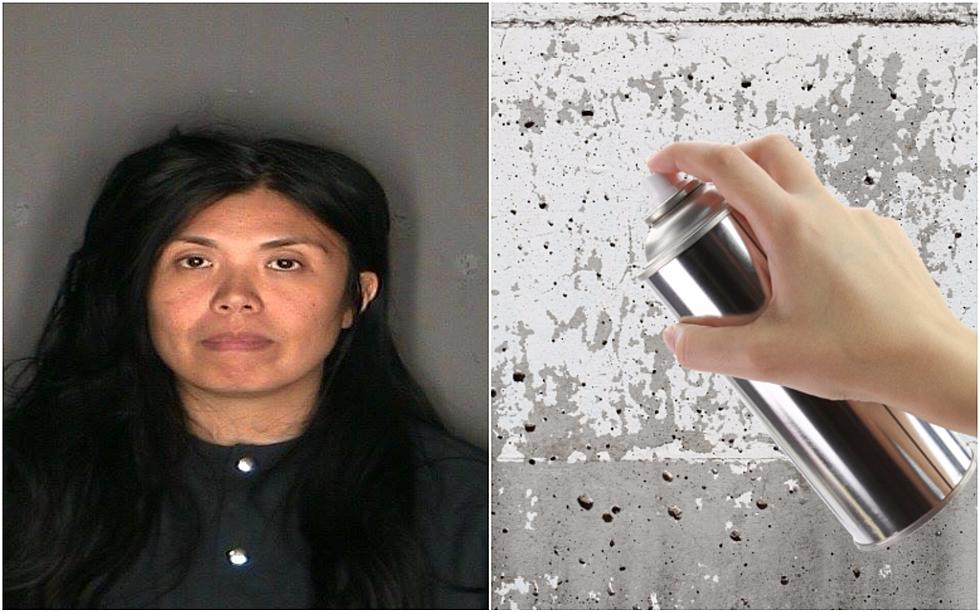 Hudson Valley Woman Accused Of Spray Painting Several Buildings