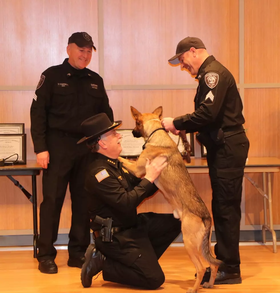 Orange County Graduates Several Police K-9&#8217;s