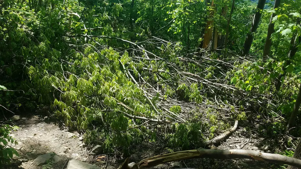 Tornado-Like Winds Wrecks Popular Hudson Valley Hiking Trail