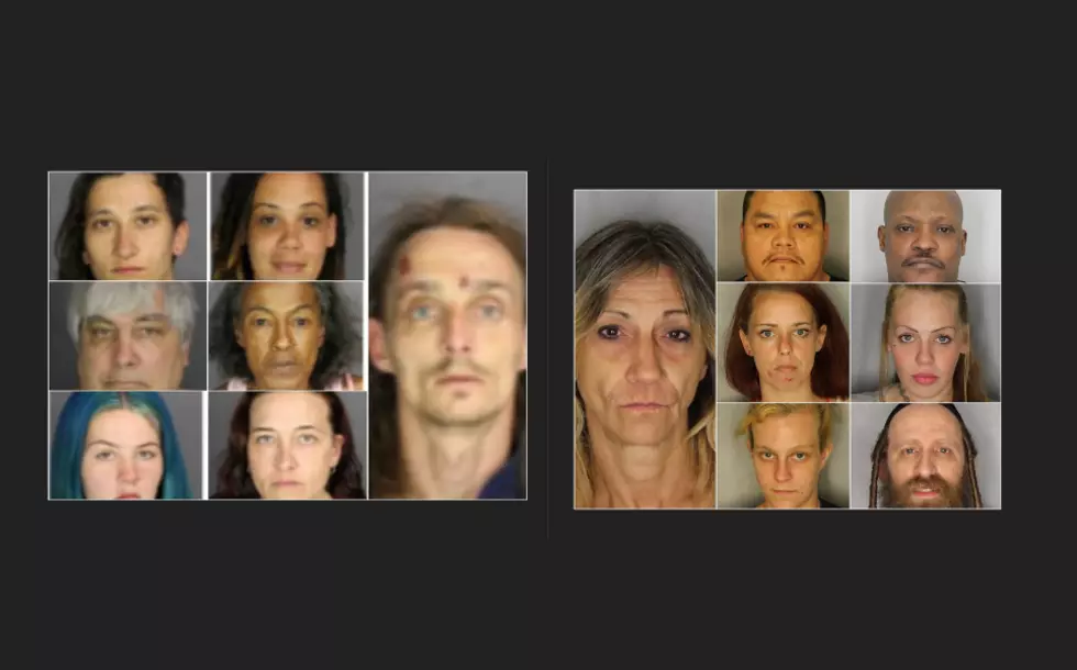 Hudson Valley Prostitution Stings Leads to 14 Charged