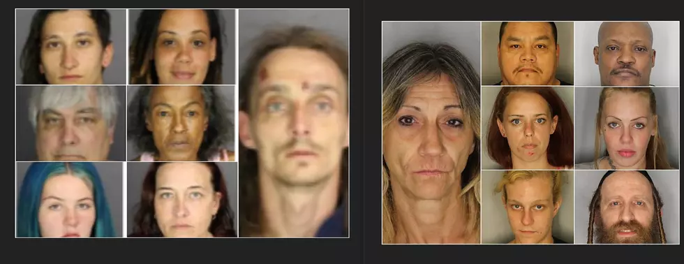 Hudson Valley Prostitution Stings Leads to 14 Charged