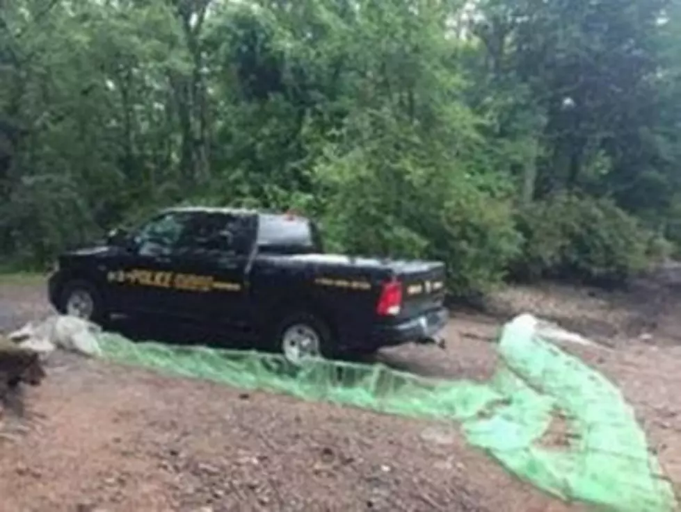 DEC Snags Illegal Fishing Net in Sullivan County