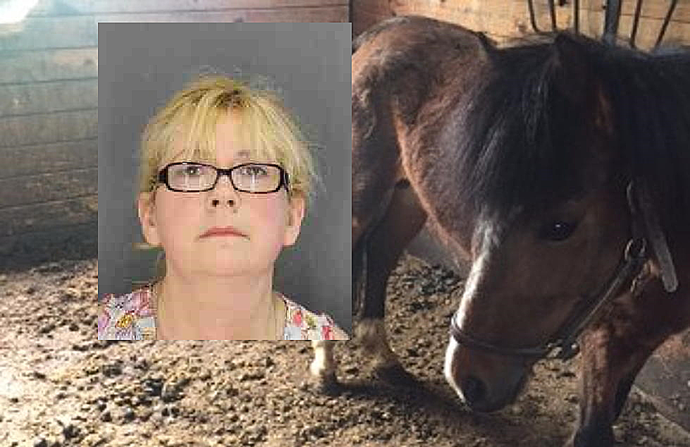 Hudson Valley Woman, Former Cop Sentenced For Killing 9 Horses