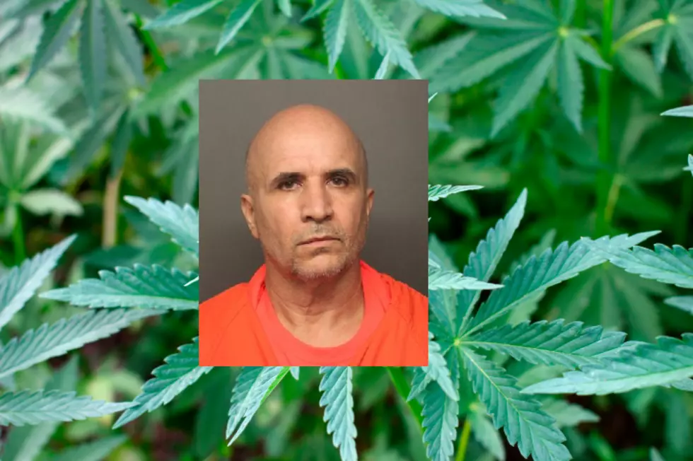 Police: Hudson Valley Man Found With Half-Million Worth of Weed