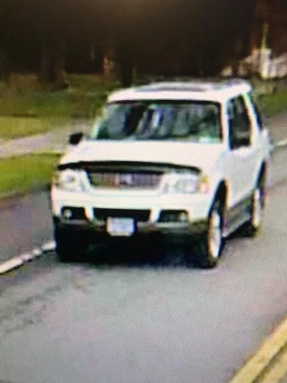 Police Believe This Vehicle Fled After Fatally Hitting Dog