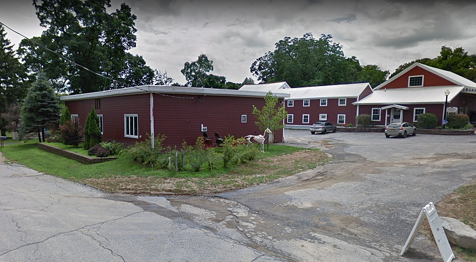 Police: Hudson Valley Woman Stole From Animal Rescue & Sanctuary