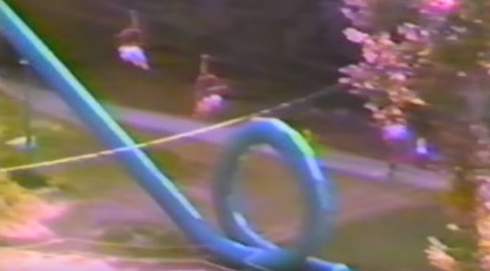 Secrets From Action Park Explored in Documentary