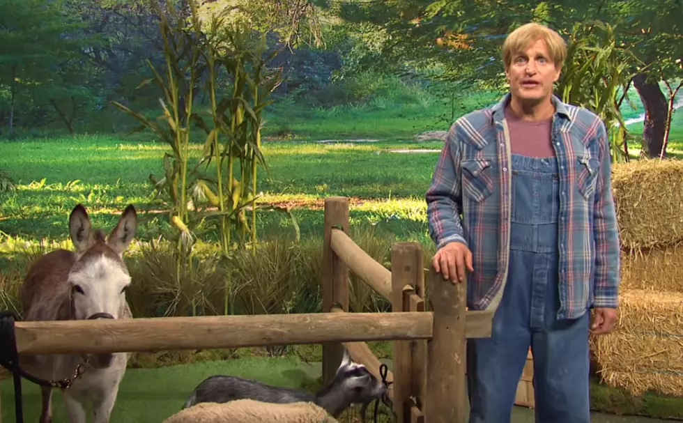 SNL Mocks Hudson Valley, Ratings Crumble