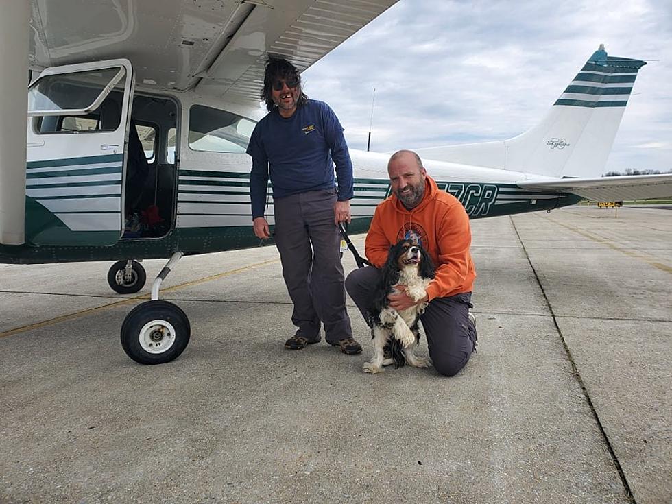 Hudson Valley Shelter Finds Dog Home After Owner Dies of COVID-19