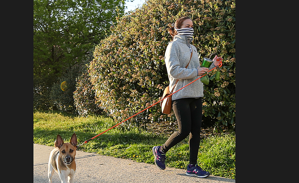 Cuomo Suggests New Yorkers Wear Masks When Walking Dog