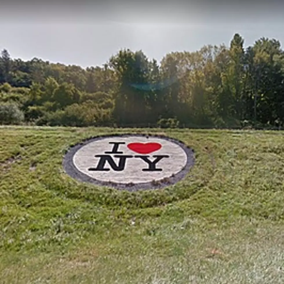 Hudson Valley Man Who Created I Love New York Logo Dies
