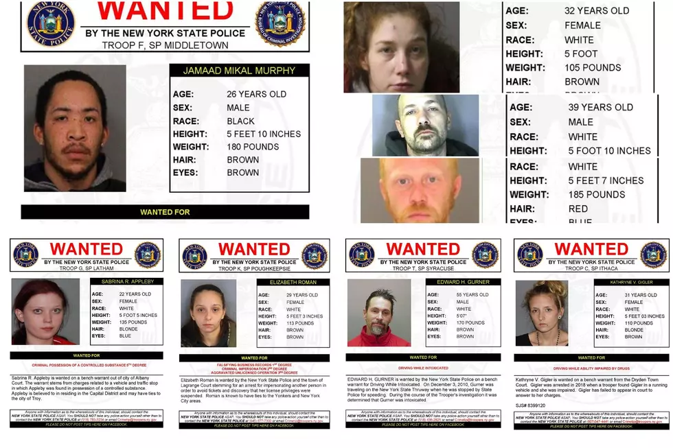 Help Needed: Wanted By New York State Police