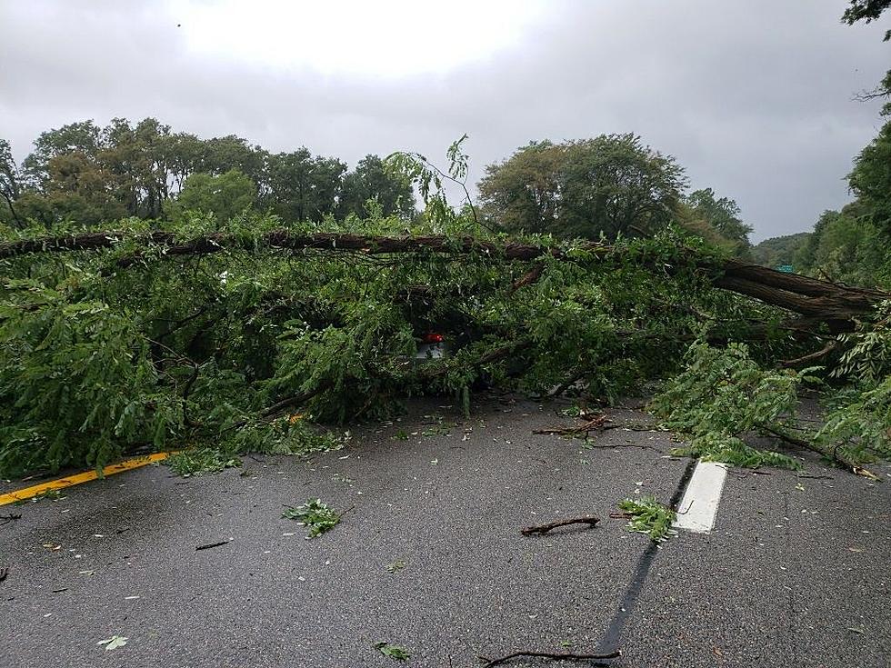 Downed Tree on I-84 in Hudson Valley Closes Down Parts of Highway