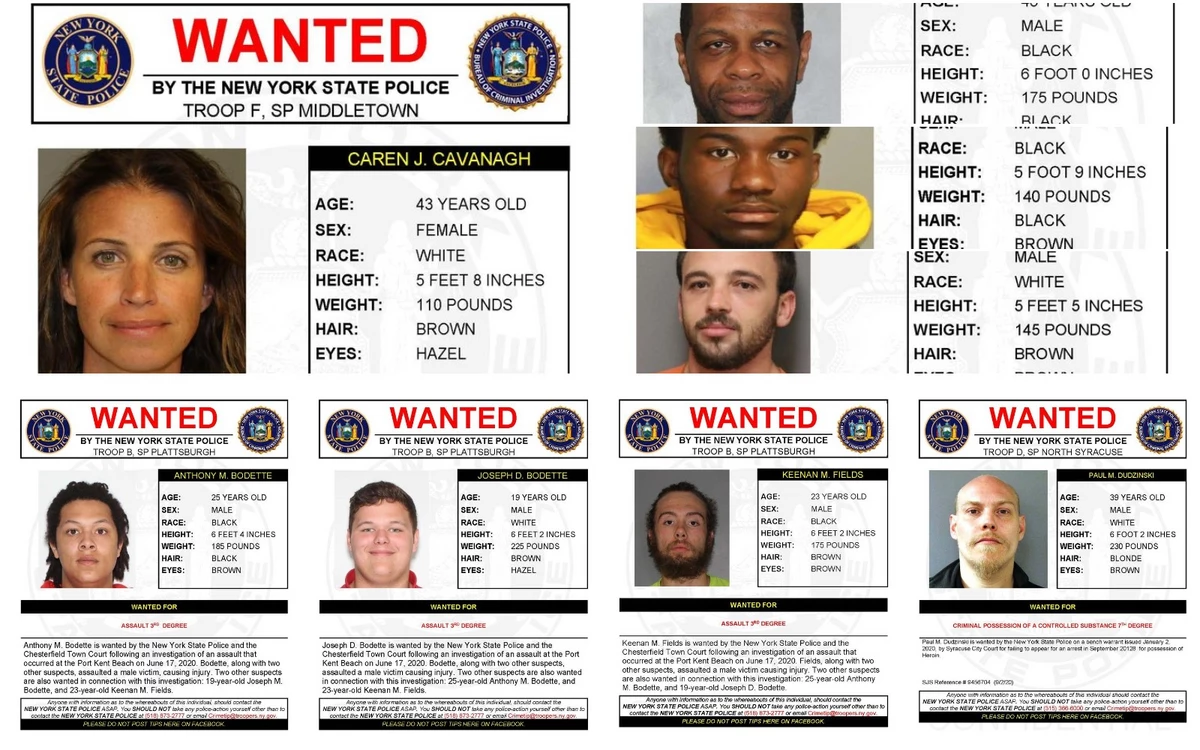 Wanted By New York State Police, Help Needed