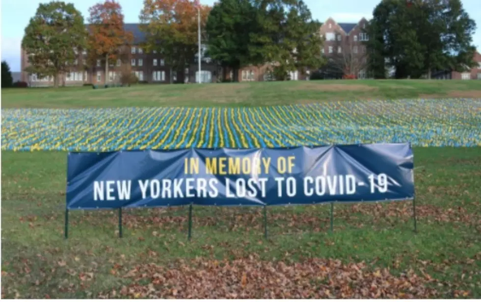 34,000 Flags in Hudson Valley Honor New Yorkers Who Died of COVID
