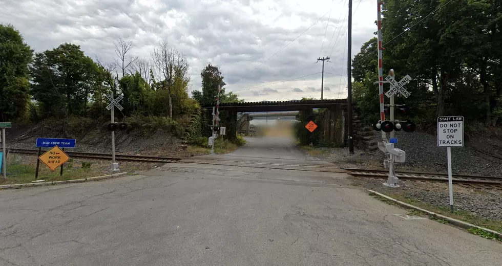 Man, Dog Fatally Struck By Train in Hudson Valley