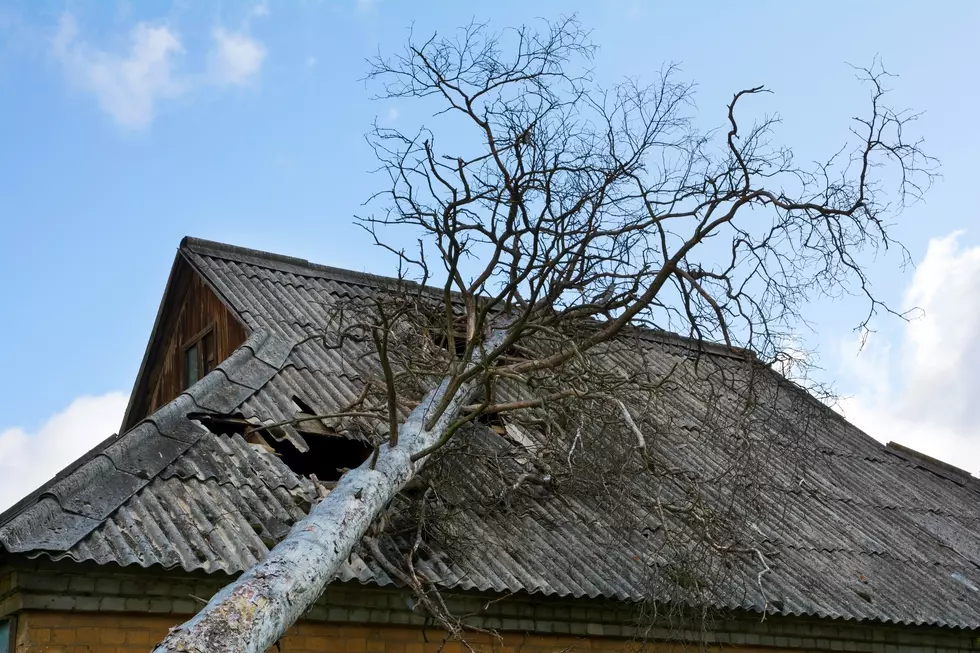 Strong Wind And Rain Storm Hit Area Right For The Holiday