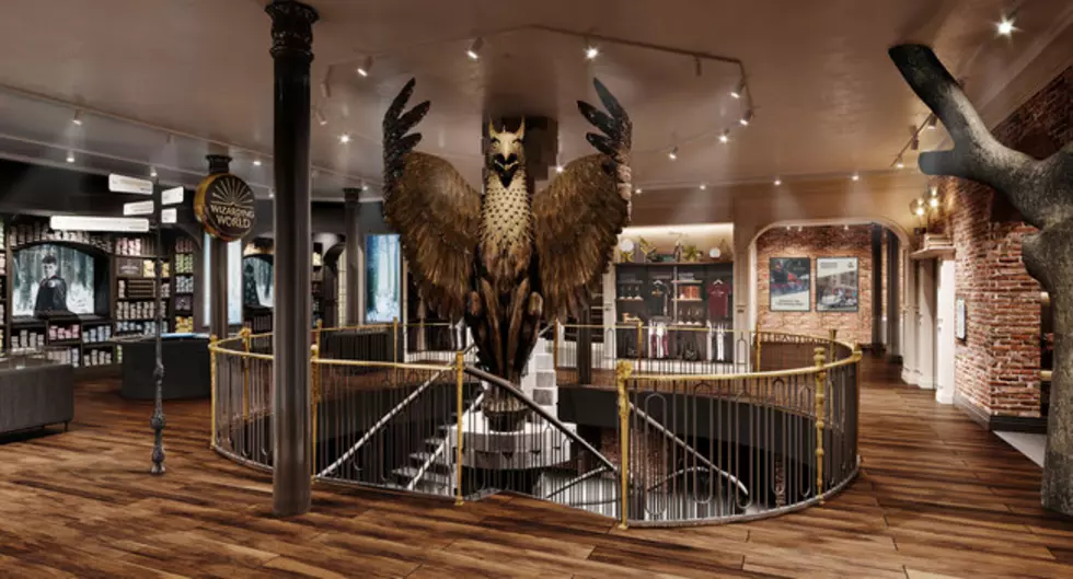 Biggest Harry Potter Store in the World Coming to New York