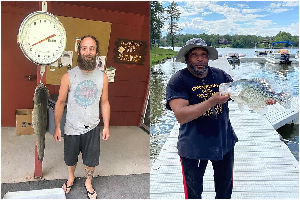 2 Record Fish Caught in New York, 1 Fish Called a &#8216;Living Fossil&#8217;