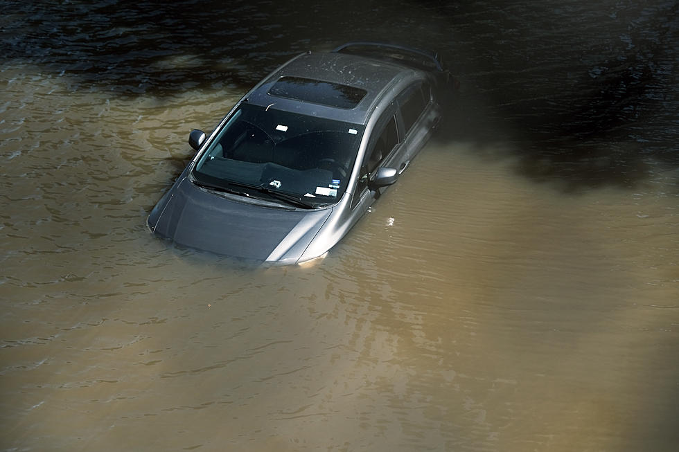 Here Are the Signs Your New York Car Has Flood Damage