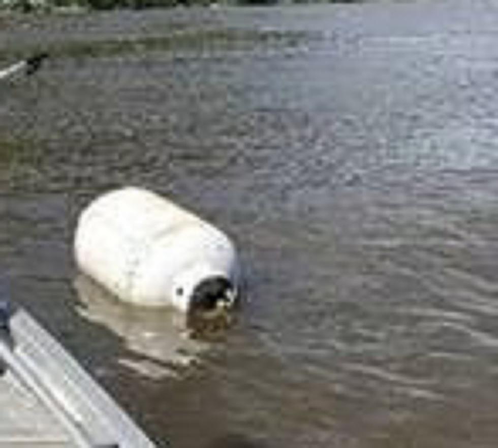 Dangerous 100-Gallon Propane Tank Found Floating in Hudson River