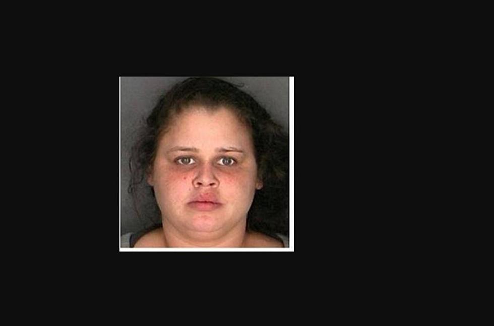Hudson Valley Woman Fatally Stabs New York Mother 227 Times