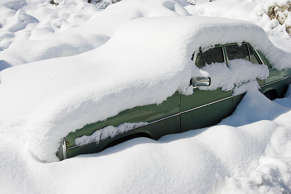 Over 1 Foot of &#8216;Surprise&#8217; Snow Shocks Parts of Hudson Valley, New York State