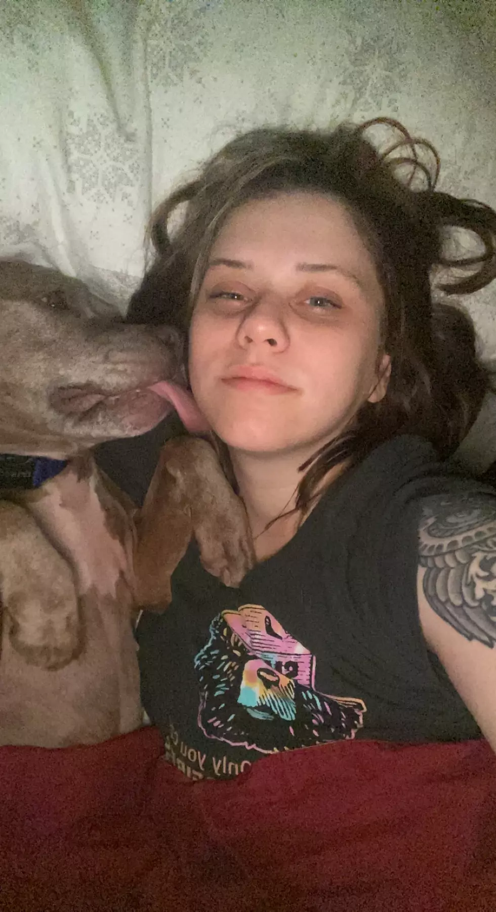 DCSPCA