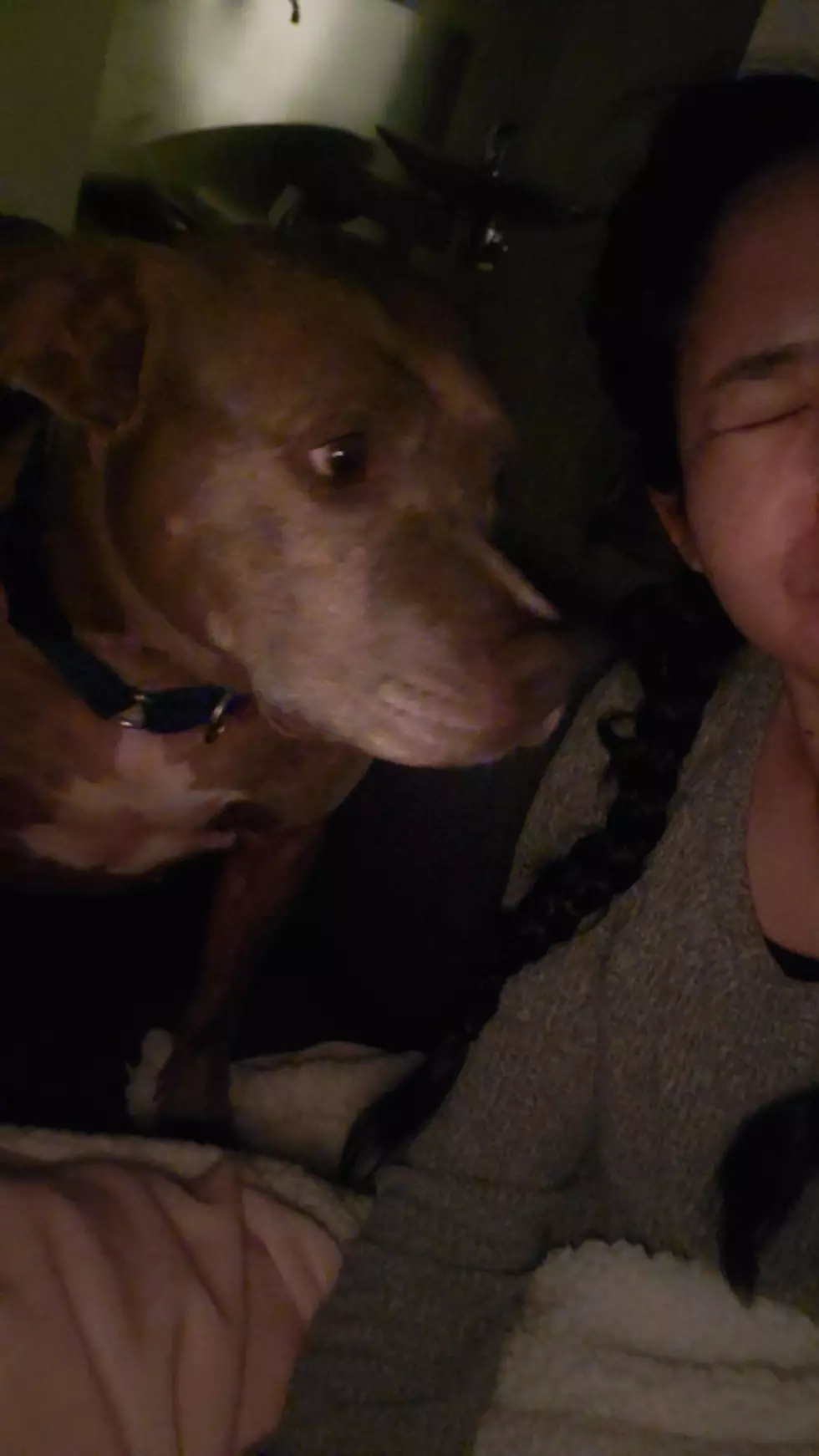 DCSPCA