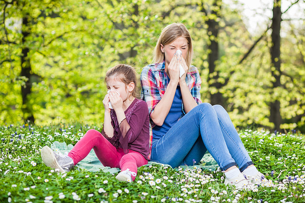 6 New York Hometowns Among Worst in US For Allergy Sufferers