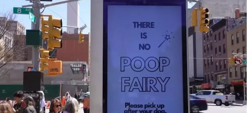 Some in New York Shocked There’s No ‘Poop Fairy’ in Empire State