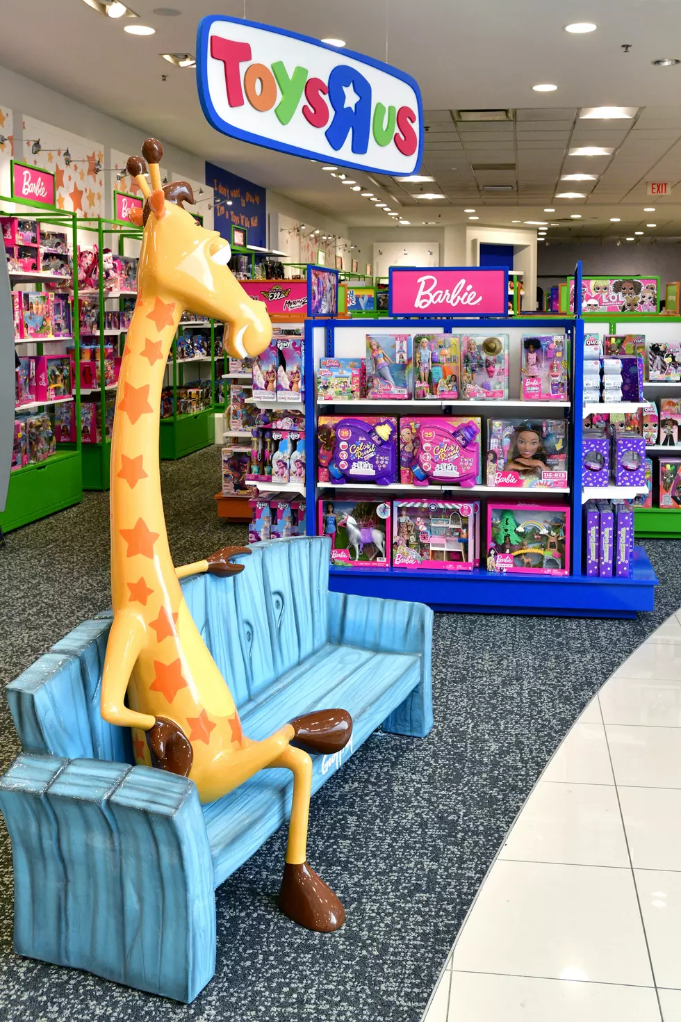Toys R Us returns to Long Island, will set up shop inside Macy's at Roosevelt  Field Mall