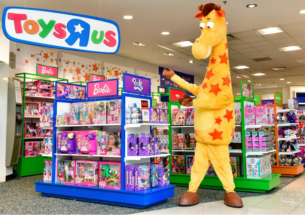 ‘Beloved’ Toys “R” Us To Make a Major Comeback Across New York