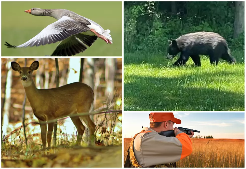 New Month Brings &#8216;Several&#8217; New Hunting Rules in New York