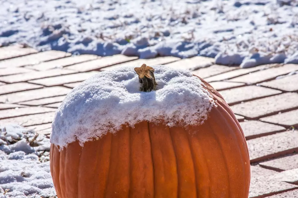 Will 'Massive' Snow Ruin Thanksgiving for Upstate New York, HV? 