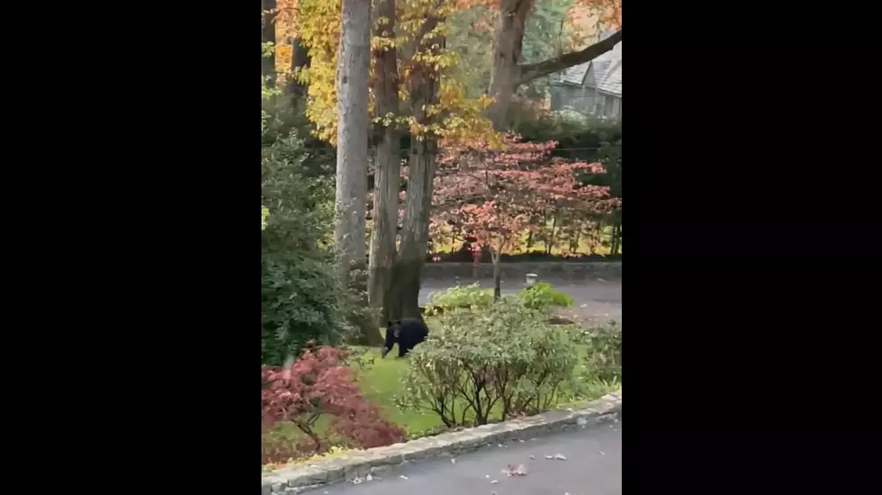 Yonkers PD
